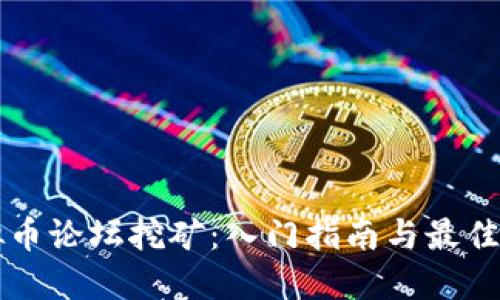 虚拟币论坛挖矿:入门指南与最佳实践