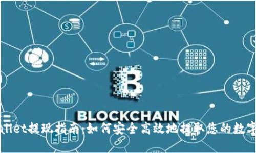 TPWallet提现指南:如何安全高效地提取您的数字资产