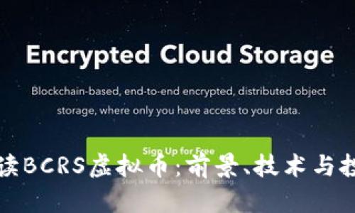 全面解读BCRS虚拟币:前景、技术与投资分析
