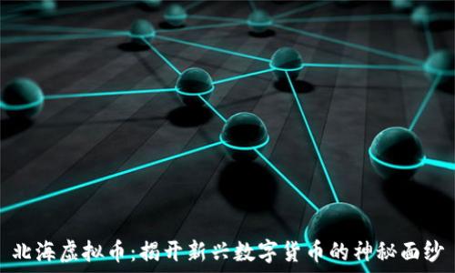 北海虚拟币:揭开新兴数字货币的神秘面纱