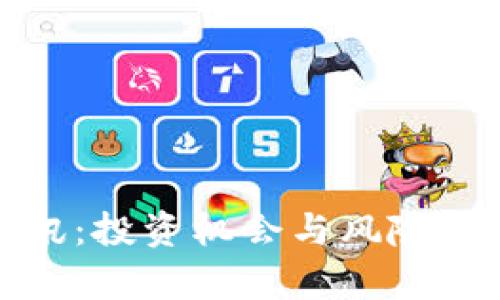 深入解析虚拟币资讯:投资机会与风险并存的数字货币市场
