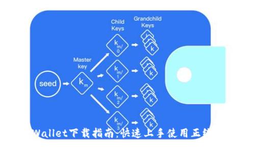TPWallet下载指南:快速上手使用正统方式