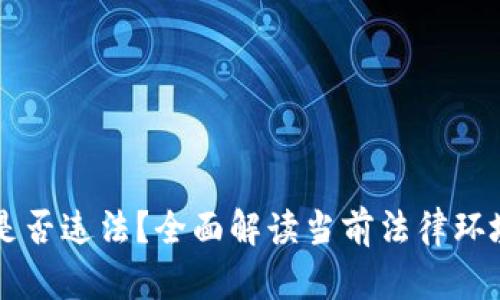 虚拟币交易是否违法?全面解读当前法律环境与风险分析