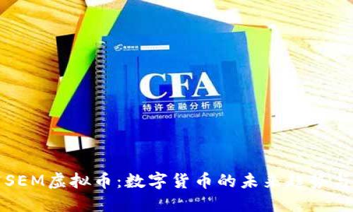 深入研究SEM虚拟币:数字货币的未来趋势与应用场景