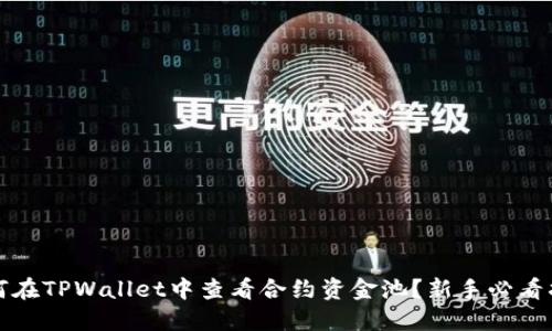 如何在TPWallet中查看合约资金池？新手必看指南