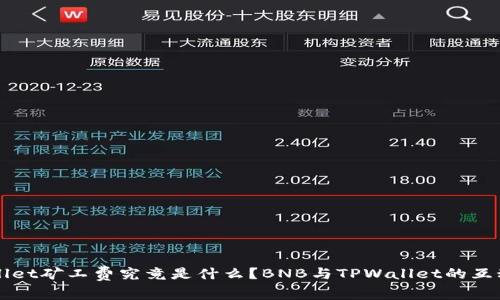 TPWallet矿工费究竟是什么？BNB与TPWallet的互动解析