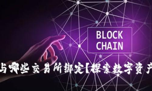 tpwallet可以与哪些交易所绑定？探索数字资产管理的新选择