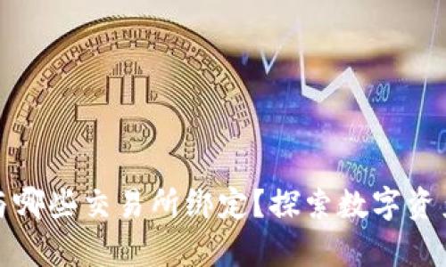 tpwallet可以与哪些交易所绑定？探索数字资产管理的新选择