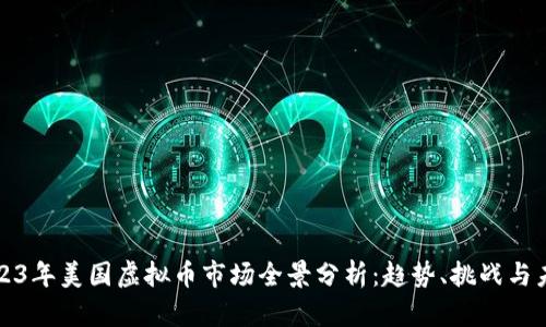 2023年美国虚拟币市场全景分析：趋势、挑战与未来