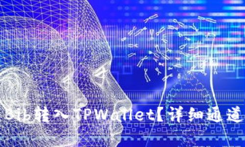题目如何将Bib转入TPWallet?详细通道分析与指导