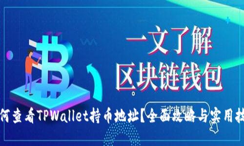 如何查看TPWallet持币地址？全面攻略与实用技巧
