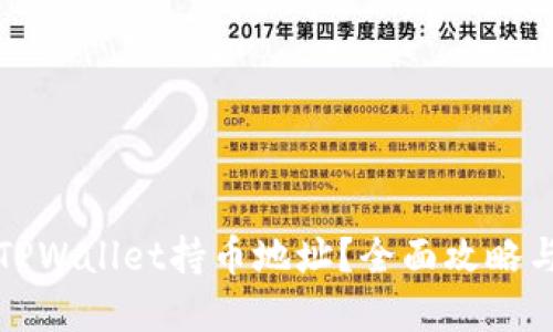 如何查看TPWallet持币地址？全面攻略与实用技巧