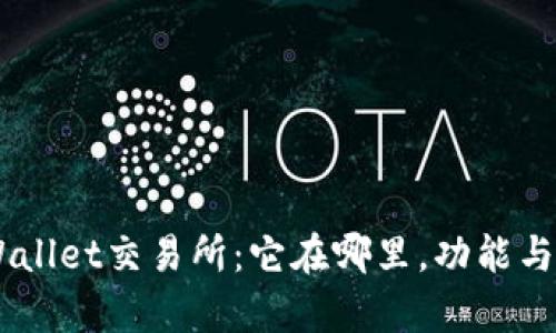 了解TPWallet交易所：它在哪里，功能与市场分析