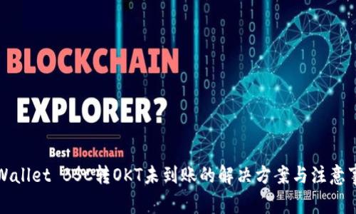 TPWallet BSC转OKT未到账的解决方案与注意事项