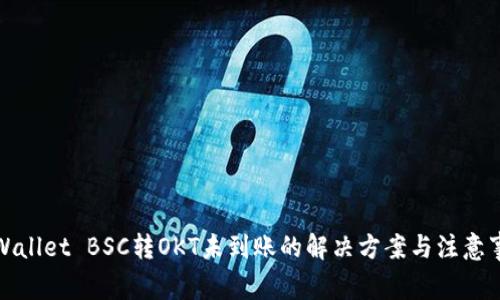 TPWallet BSC转OKT未到账的解决方案与注意事项