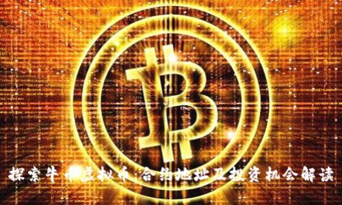 探索牛币虚拟币：合约地址及投资机会解读