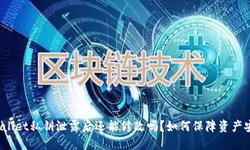 TPWallet私钥泄露后还能修改吗？如何保障资产安全？