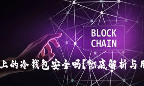 TPWallet上的冷钱包安全吗?彻底解析与用户白皮书