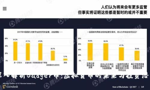 深入解析Badger币：虚拟货币的未来与投资潜力