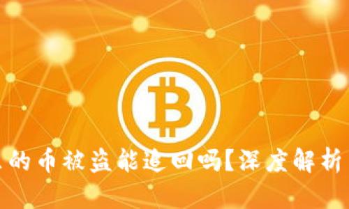 tpwallet里的币被盗能追回吗？深度解析与应对策略