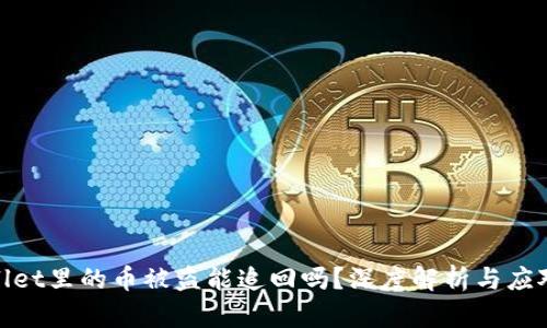 tpwallet里的币被盗能追回吗？深度解析与应对策略