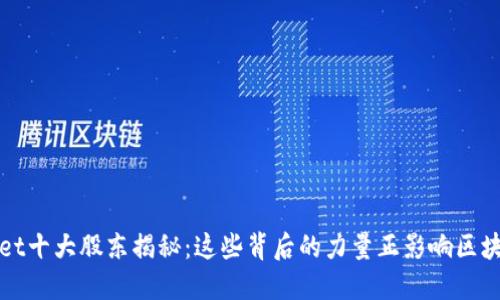 TPWallet十大股东揭秘：这些背后的力量正影响区块链行业