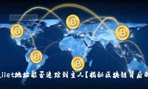 TPWallet地址能否追踪到主人?揭秘区块链背后的秘密