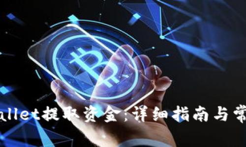 如何从TPWallet提取资金：详细指南与常见问题解答