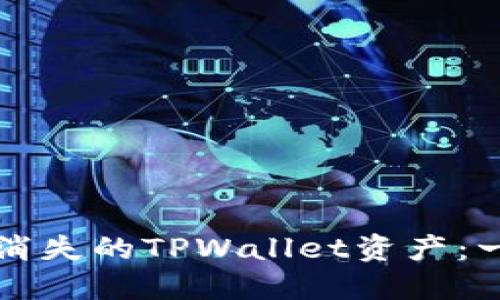 如何找到消失的TPWallet资产:一站式指导