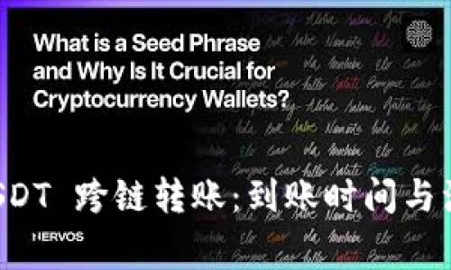 tpwallet USDT 跨链转账:到账时间与注意事项解析