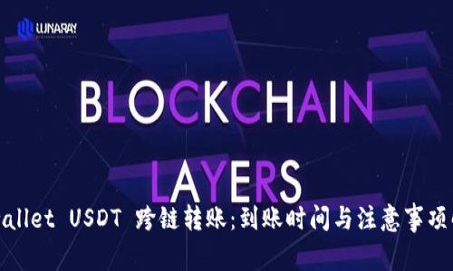tpwallet USDT 跨链转账:到账时间与注意事项解析
