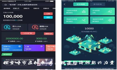 探索呼市虚拟币:未来数字经济的新兴力量