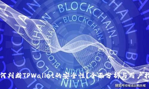 如何判断TPWallet的安全性?全面分析与用户指南