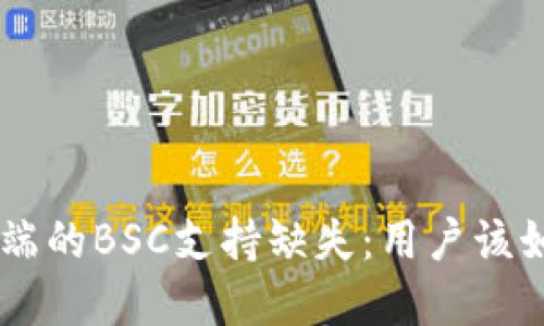 TPWallet电脑端的BSC支持缺失:用户该如何应对与解决