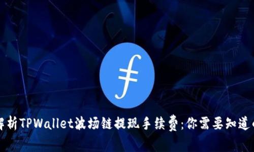 深入解析TPWallet波场链提现手续费:你需要知道的一切