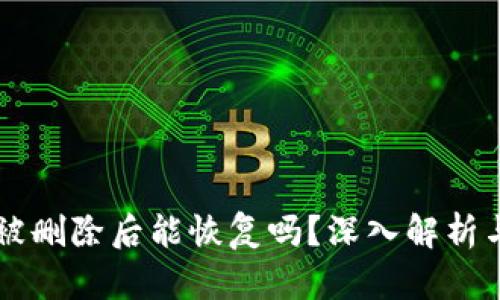 TPWallet被删除后能恢复吗？深入解析与解决方案