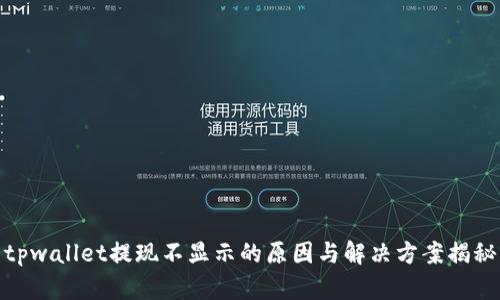 tpwallet提现不显示的原因与解决方案揭秘