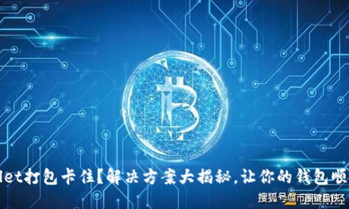 TPWallet打包卡住?解决方案大揭秘,让你的钱包顺利运行