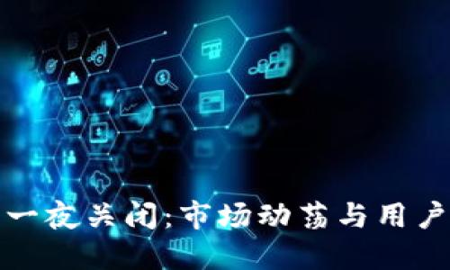 虚拟币交易平台一夜关闭:市场动荡与用户心态的双重影响