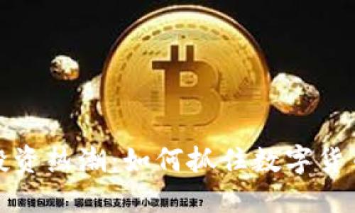 国外虚拟币投资热潮：如何抓住数字货币的未来机遇