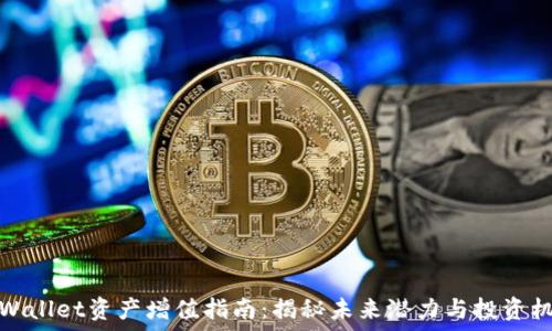   
TPWallet资产增值指南：揭秘未来潜力与投资机遇