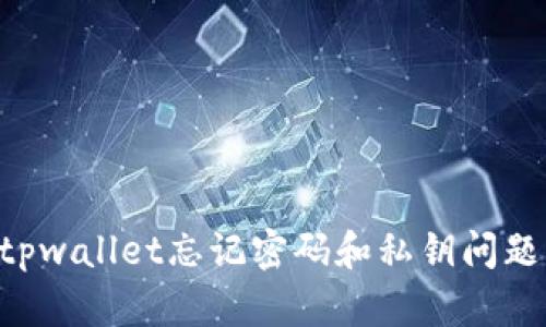 如何解决tpwallet忘记密码和私钥问题:全面指南