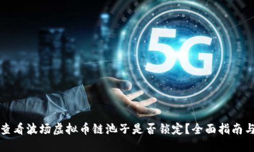 如何查看波场虚拟币链池子是否锁定？全面指南与技巧