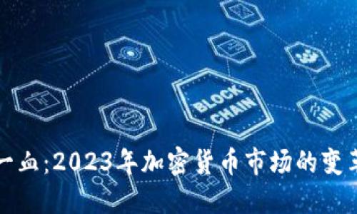 虚拟币一血：2023年加密货币市场的变革与机遇