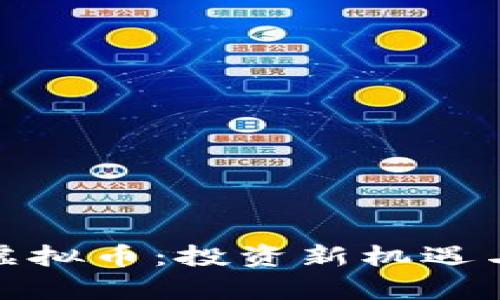 探索BDM虚拟币：投资新机遇与风险分析