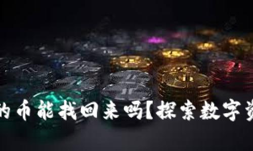 tpwallet转出去的币能找回来吗？探索数字资产恢复的可能性