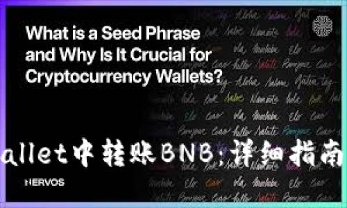 如何在TPWallet中转账BNB：详细指南与操作技巧