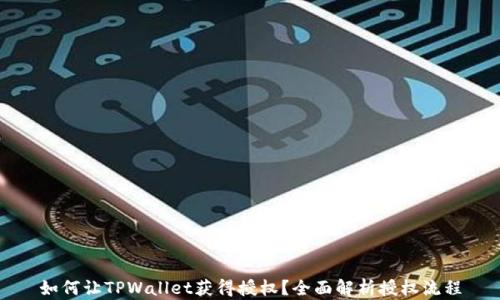 
如何让TPWallet获得授权？全面解析授权流程