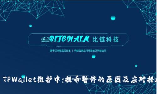 : TPWallet维护中：提币暂停的原因及应对措施