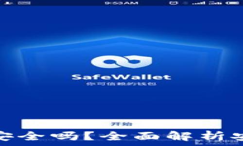   
虚拟币钱包安全吗？全面解析安全性与风险